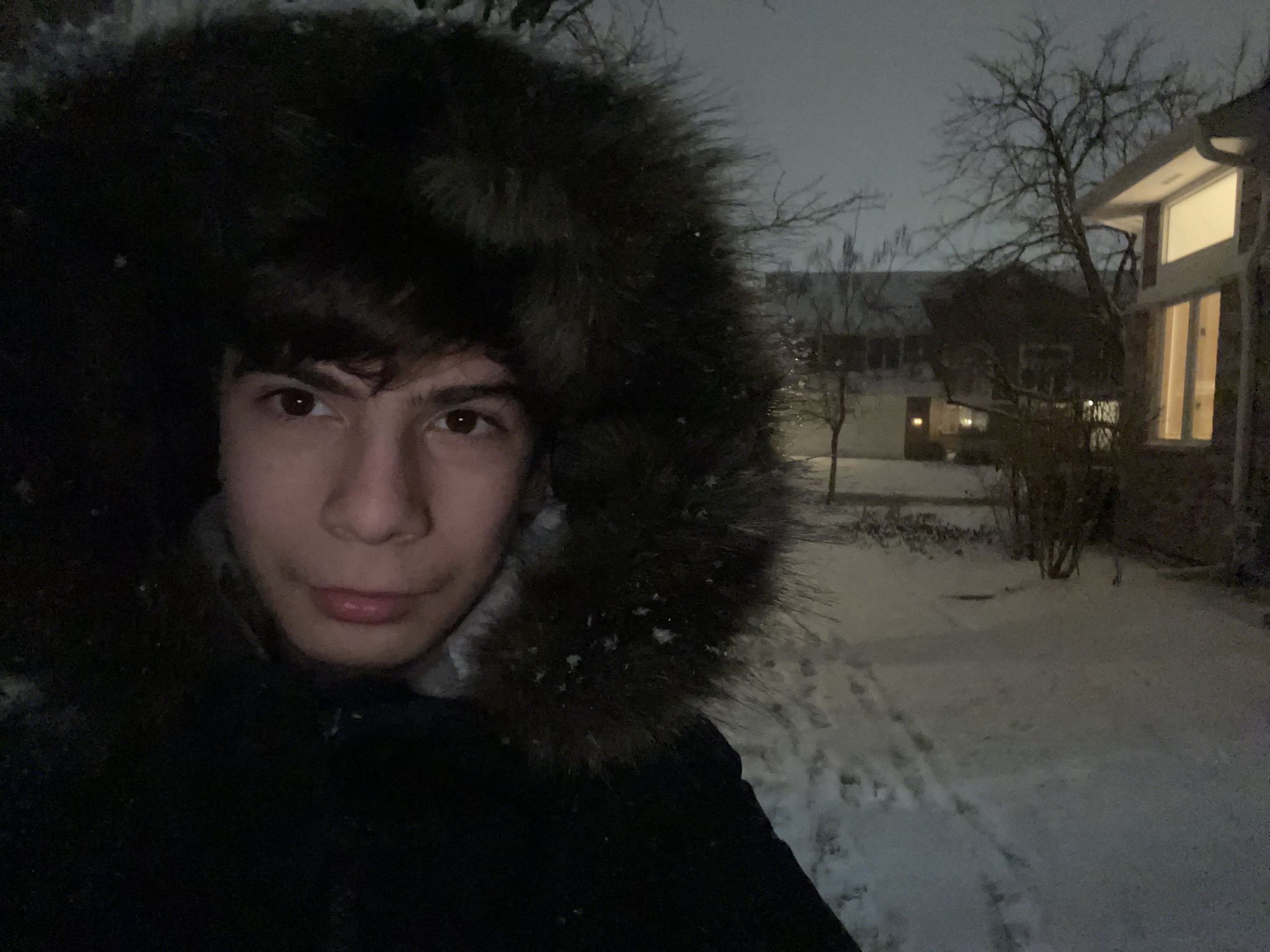 Timur Radjabov portrait